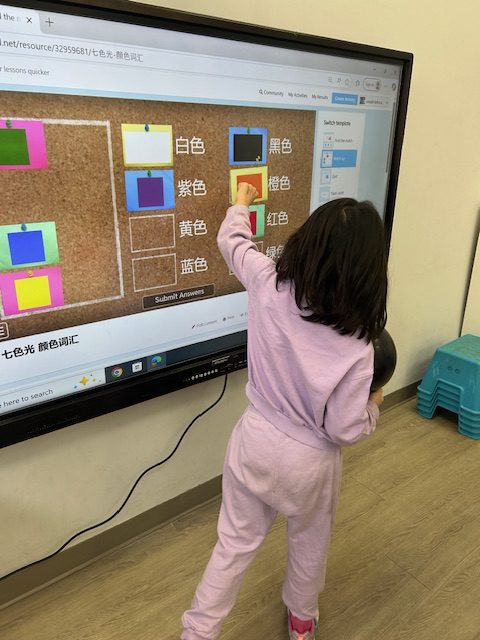 why-choose-us img 2782