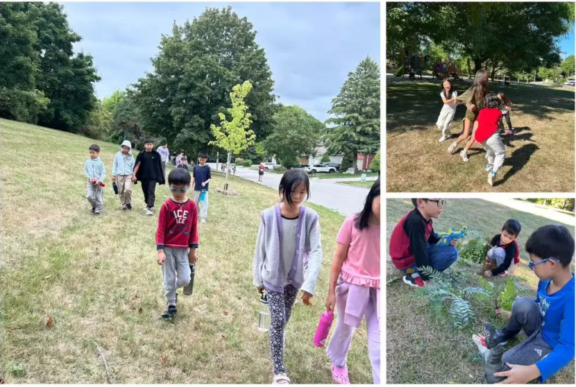 优实教育 2026 夏令营招生正式启动 image